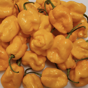 A pile of bright yellow habanero peppers with green stems.